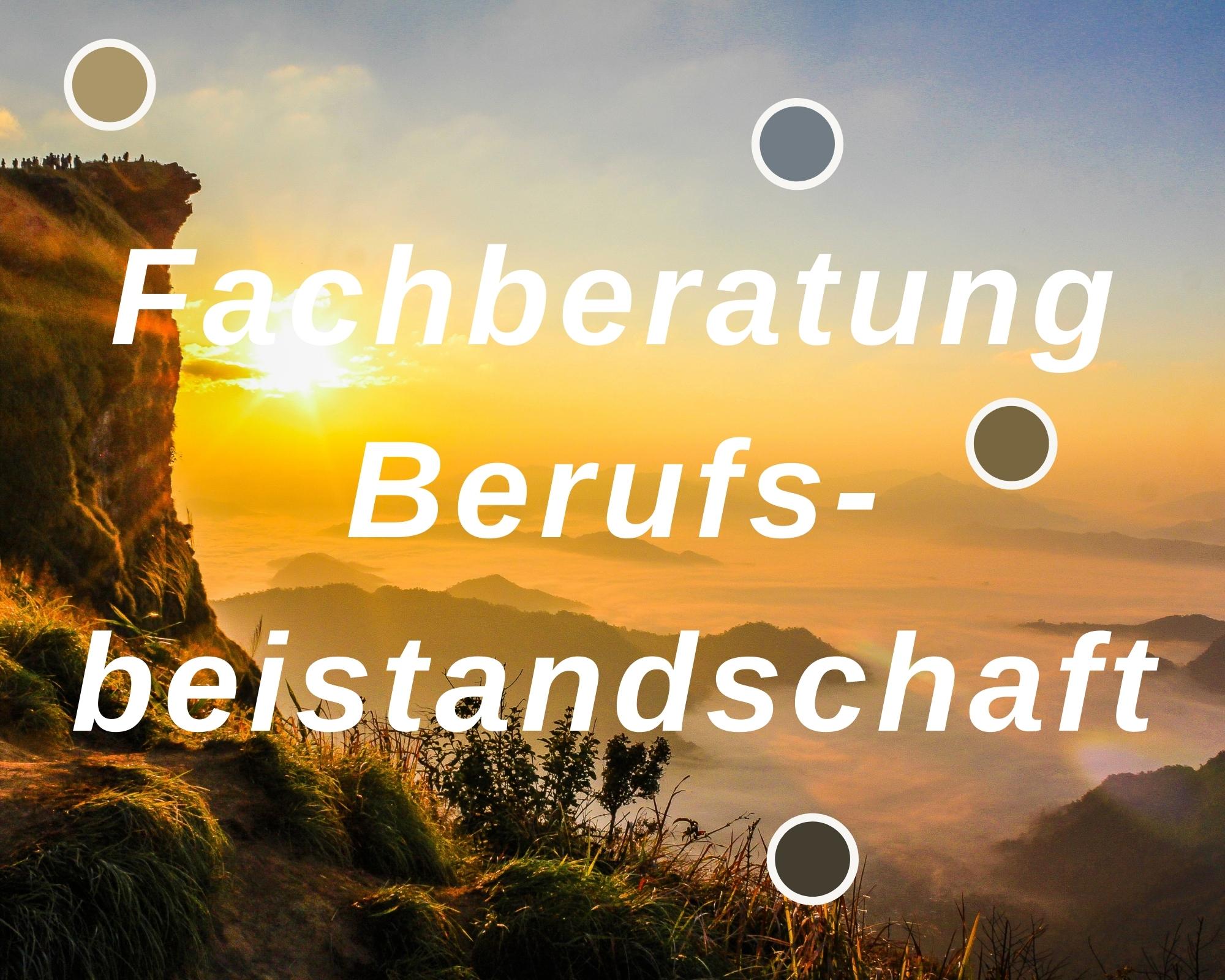 Angebote für Berufsbeistandschaften