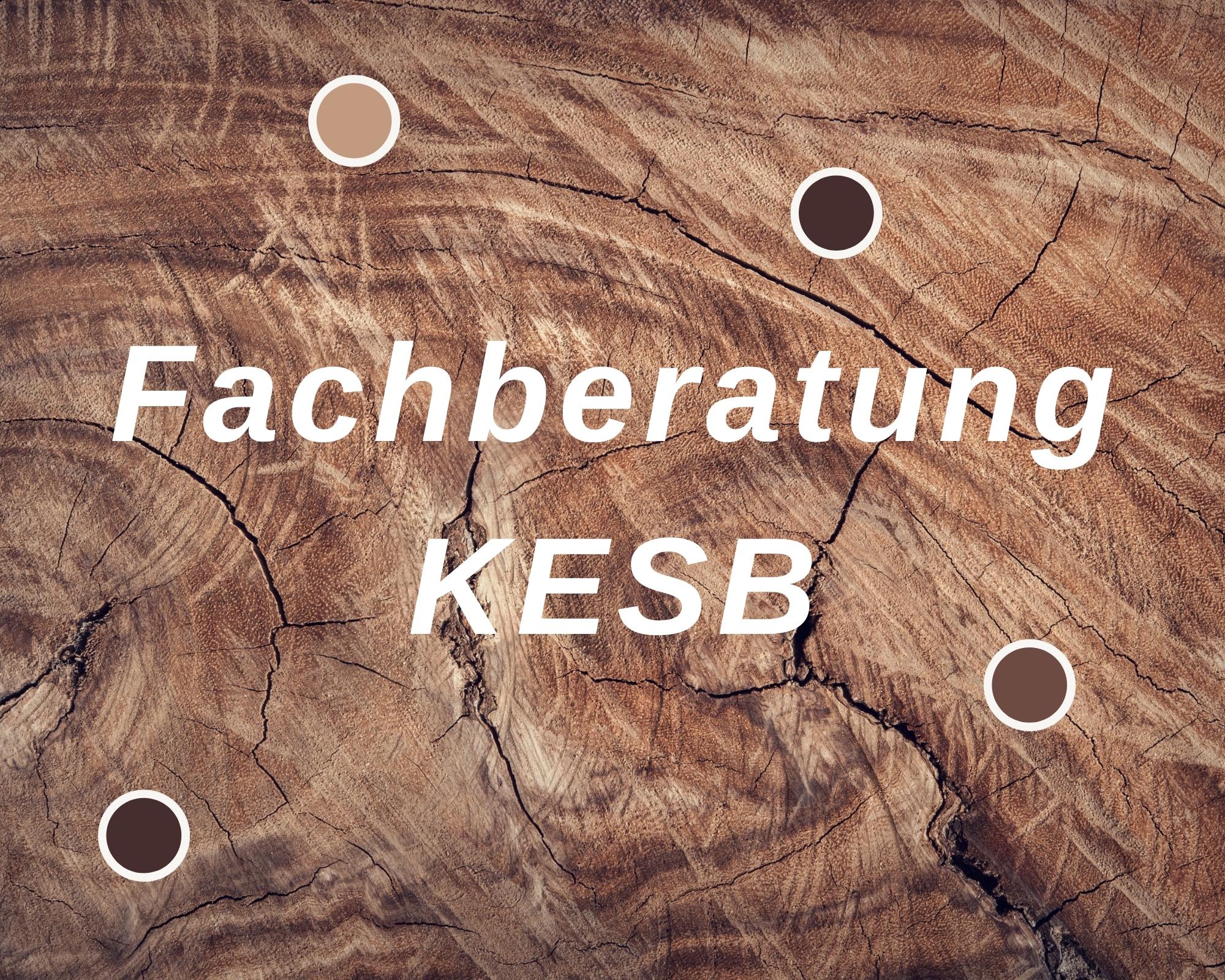 Fachberatung KESB