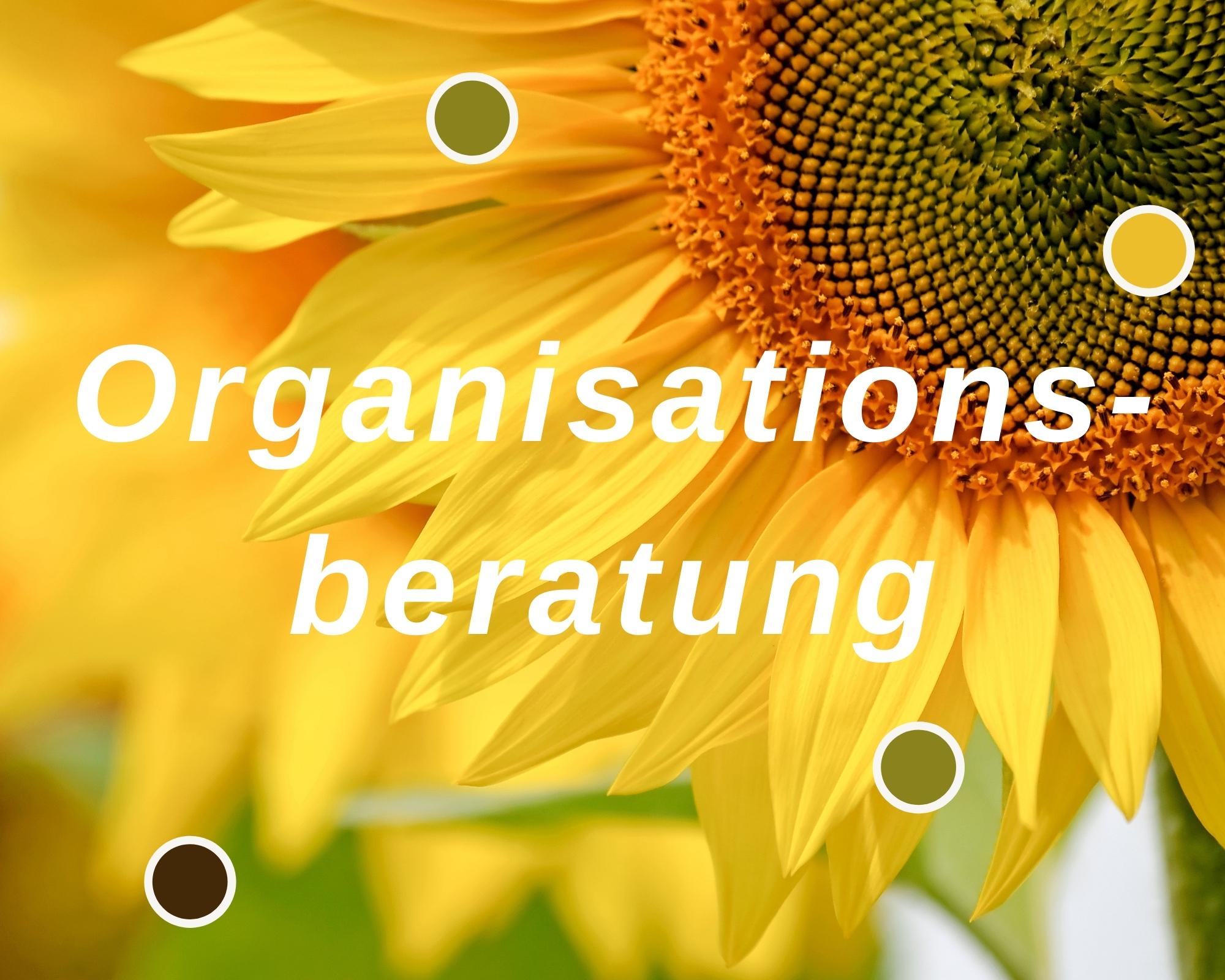 Organisationsberatung